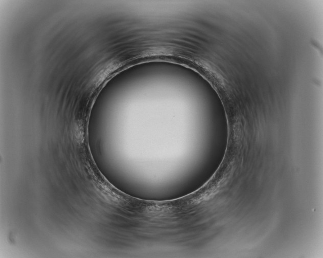 X0000098020929200803281331