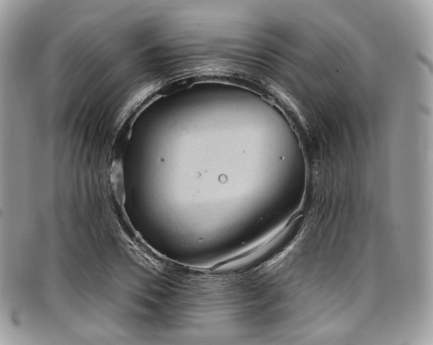 X0000098020930200803281331