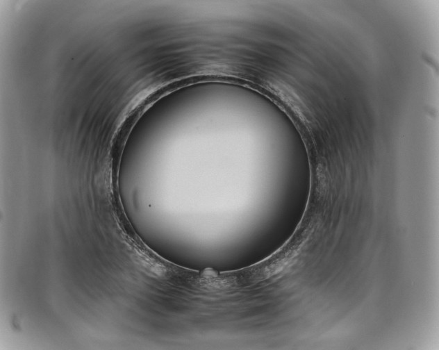 X0000098020931200803281331