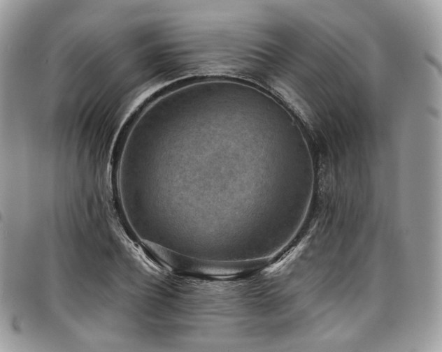 X0000098020932200803281331