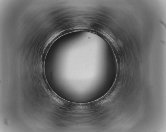 X0000098020933200803281331