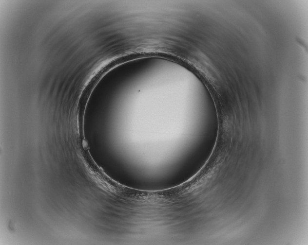 X0000098020934200803281331