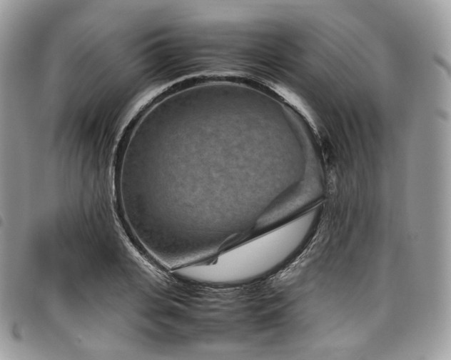 X0000098020935200803281331