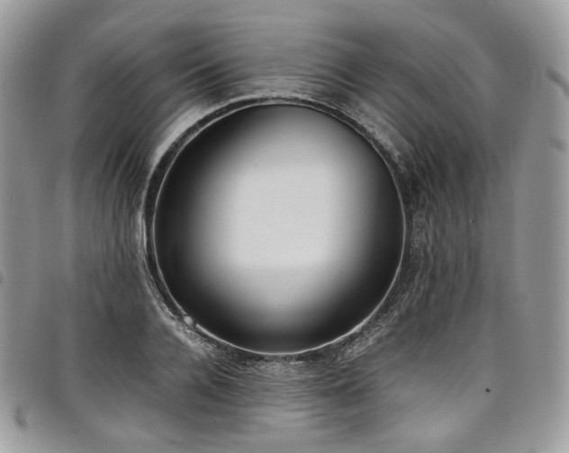 X0000098020936200803281331