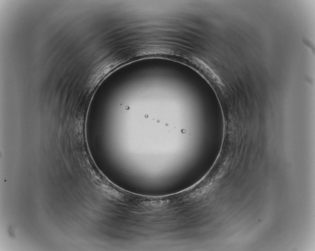 X0000098020937200803281331