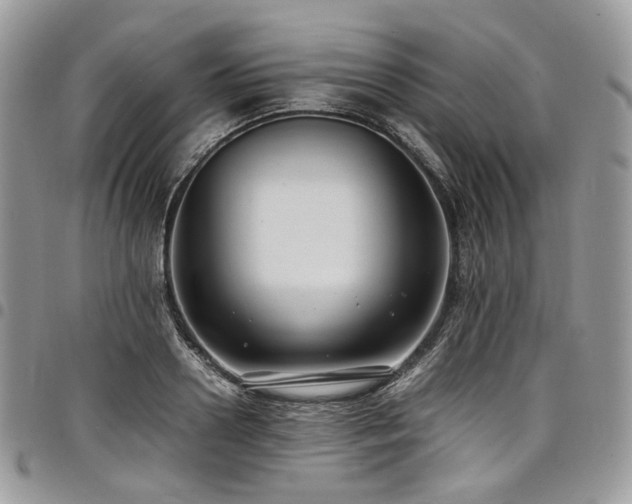 X0000098020938200803281331