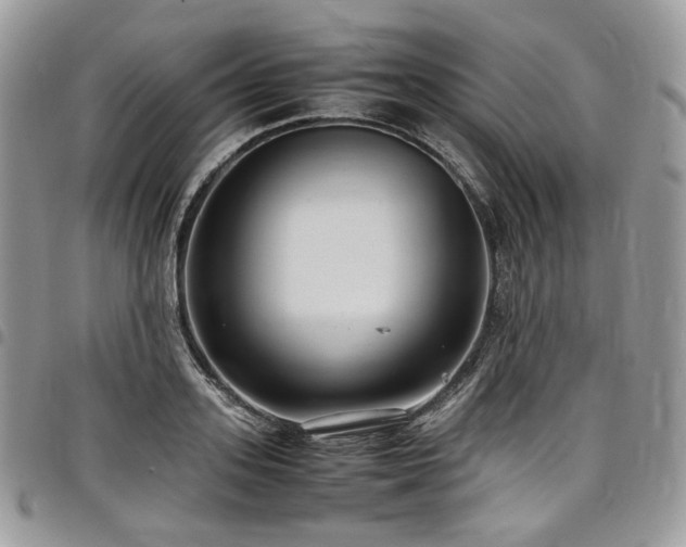 X0000098020939200803281331