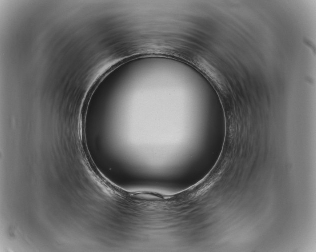 X0000098020940200803281331