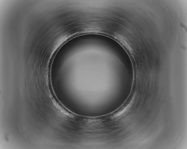 X0000098020941200803281331