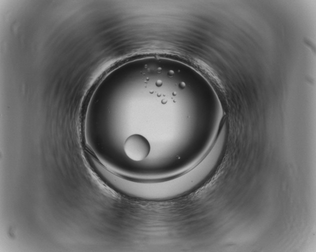 X0000098020942200803281331