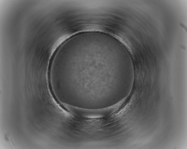 X0000098020943200803281331