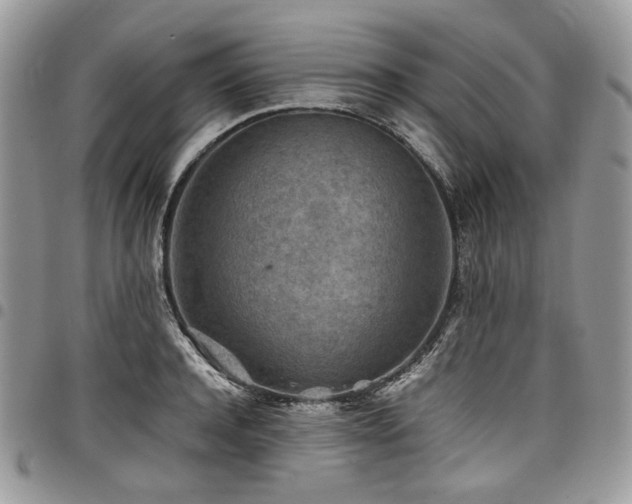 X0000098020944200803281331