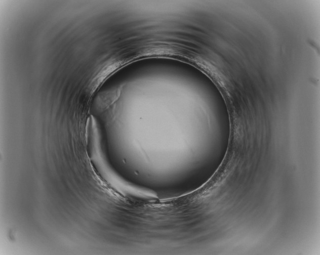 X0000098020945200803281331