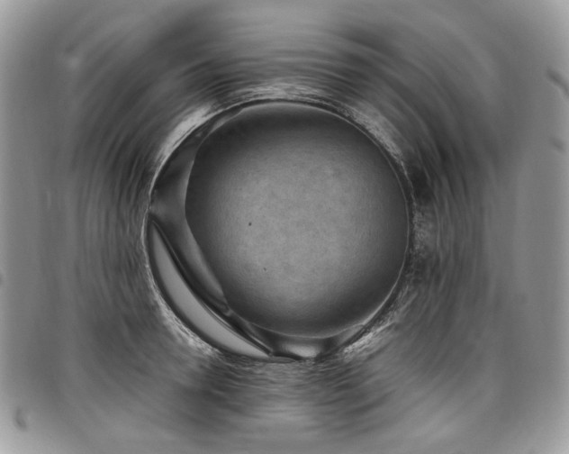 X0000098020946200803281331