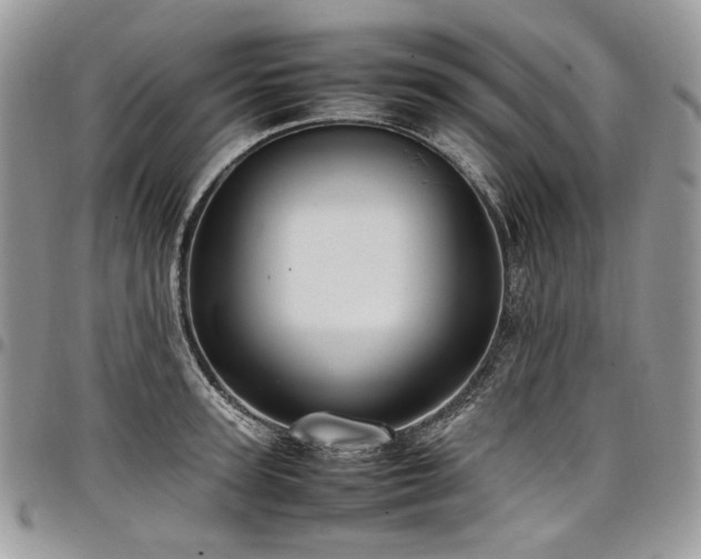 X0000098020947200803281331