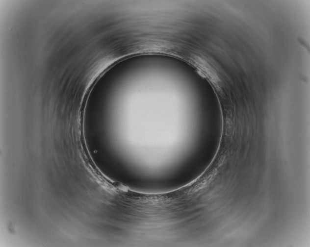 X0000098020948200803281331