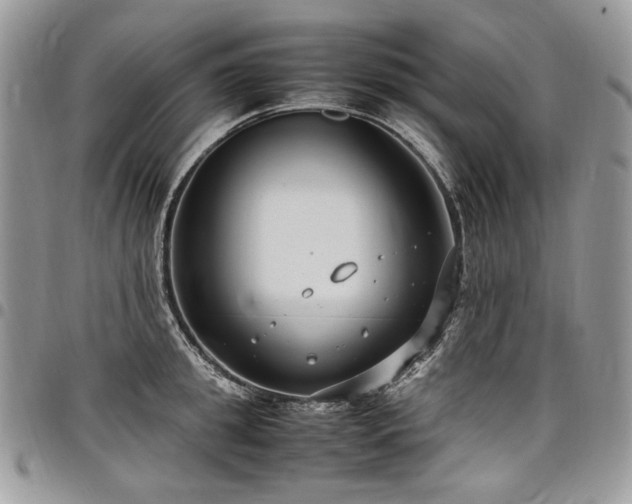 X0000098020949200803281331