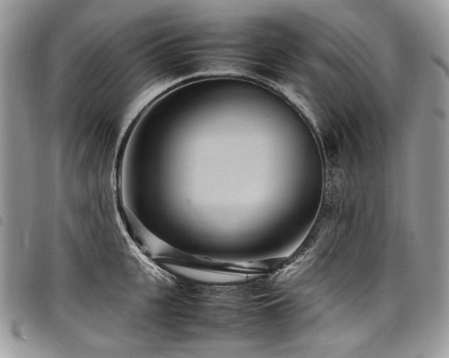 X0000098020951200803281331