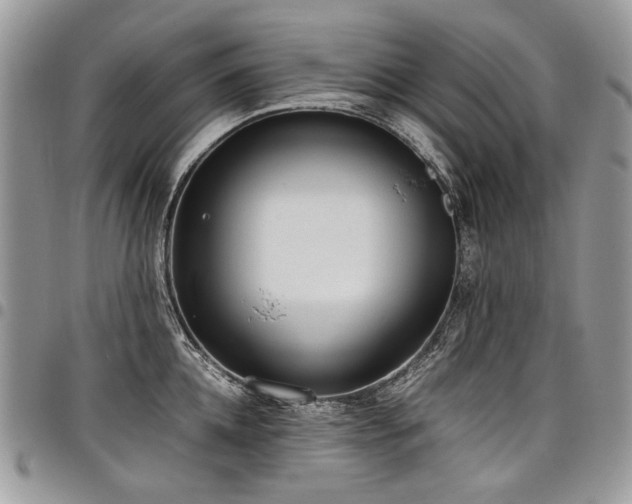 X0000098020952200803281331