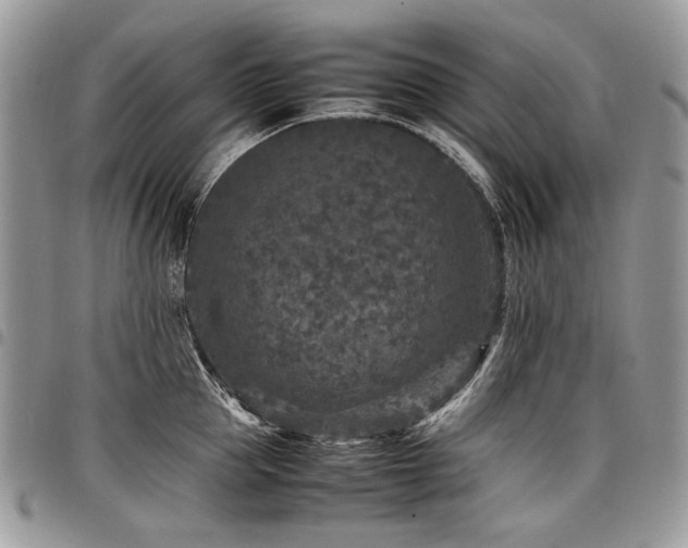 X0000098020953200803281331