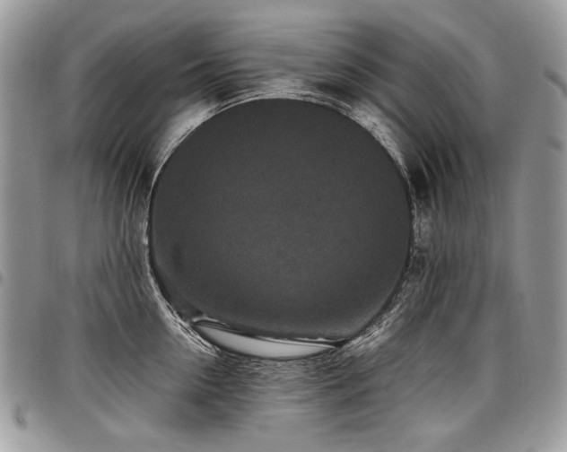 X0000098020954200803281331