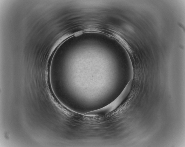 X0000098020955200803281331