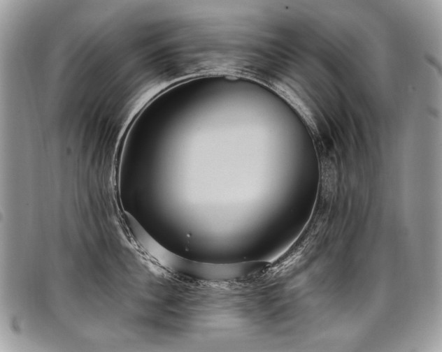 X0000098020956200803281331