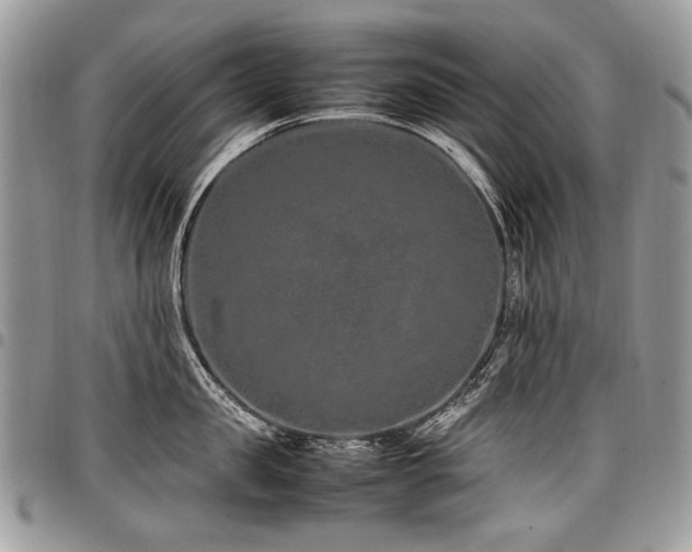 X0000098020957200803281331