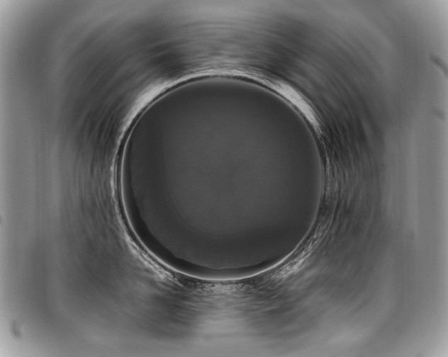 X0000098020958200803281331