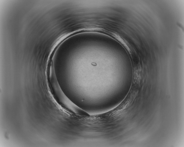 X0000098020959200803281331