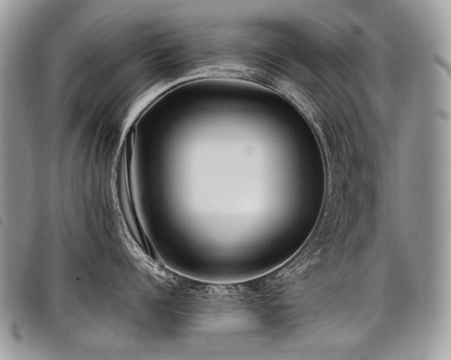 X0000098020960200803281331