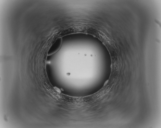 X0000098020961200803281331