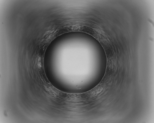 X0000098020962200803281331