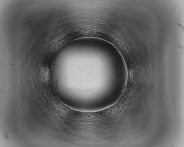 X0000098020963200803281331