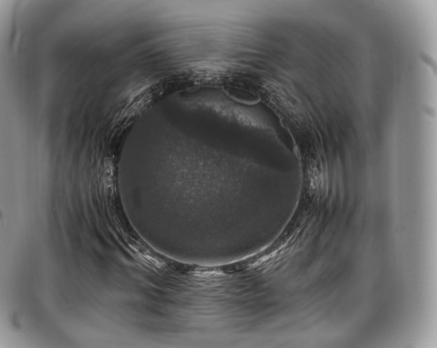 X0000098020964200803281331