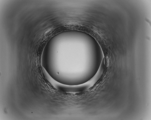 X0000098020965200803281331