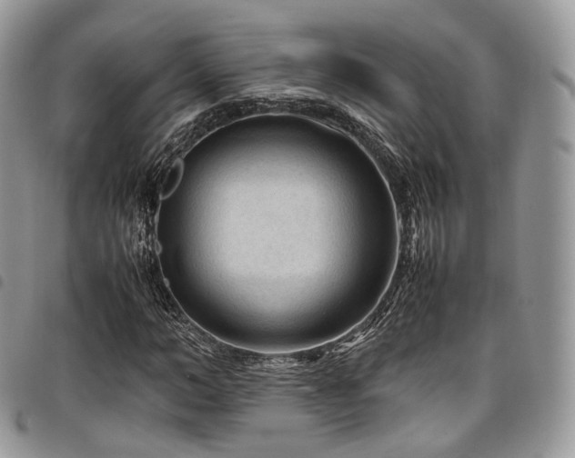 X0000098020966200803281331