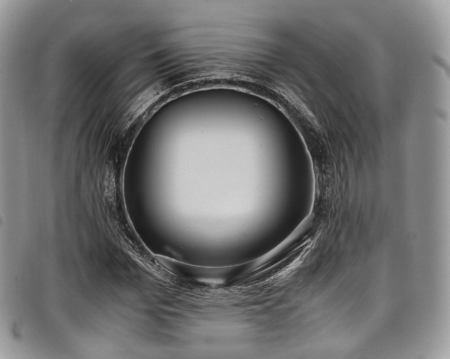 X0000098020969200803281331