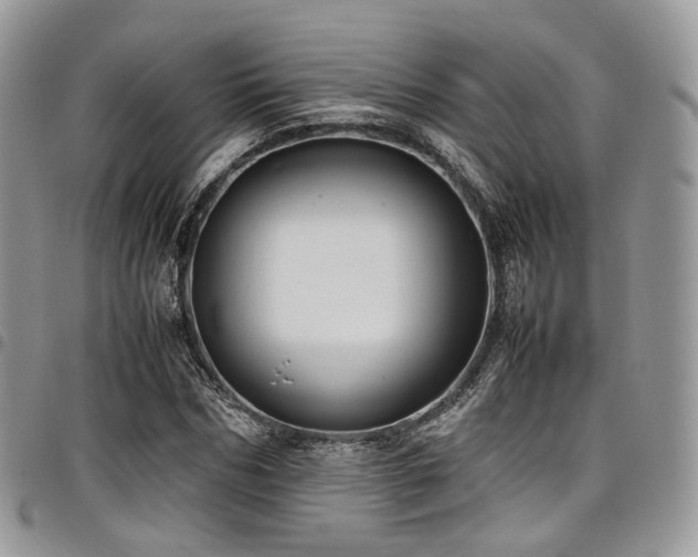 X0000098020970200803281331