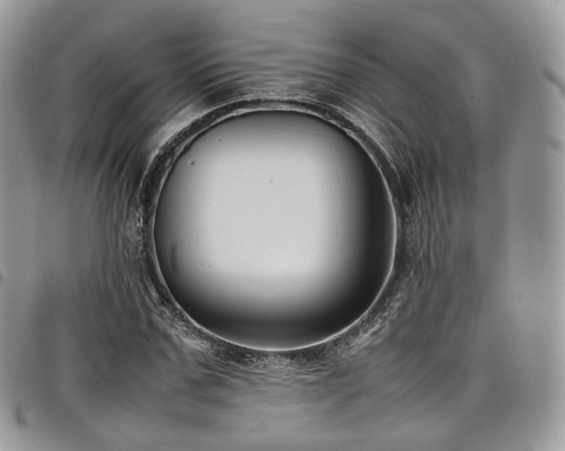 X0000098020971200803281331