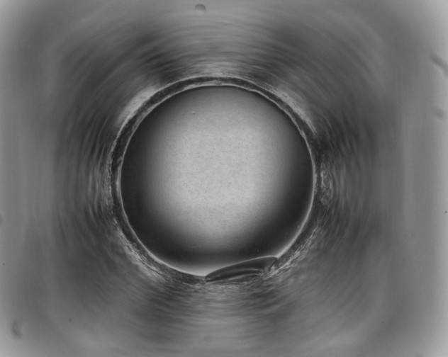 X0000098020972200803281331