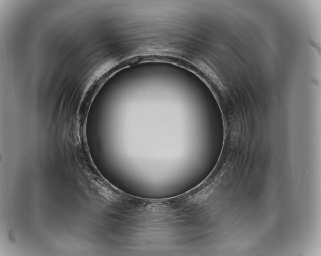 X0000098020974200803281331