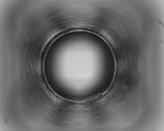 X0000098020976200803281331