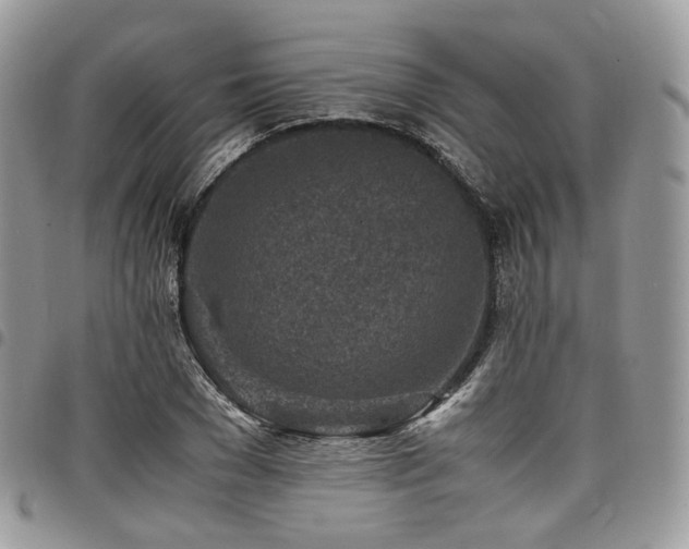 X0000098020977200803281331