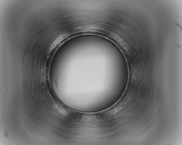 X0000098020978200803281331