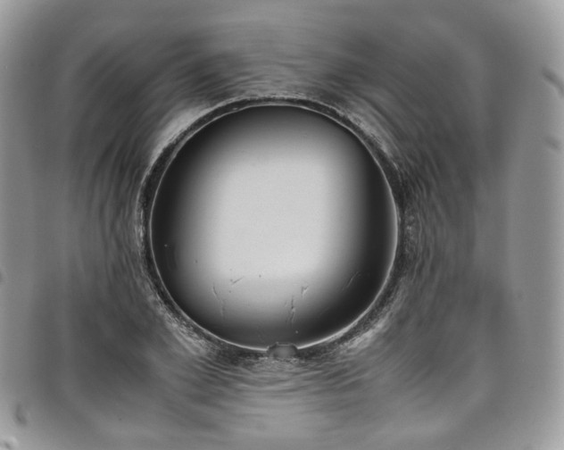 X0000098020981200803281331