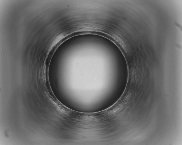 X0000098020982200803281330