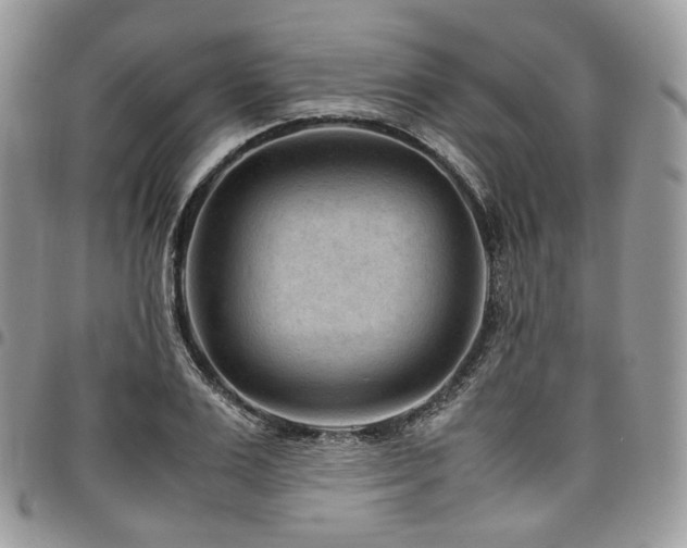 X0000098020983200803281330