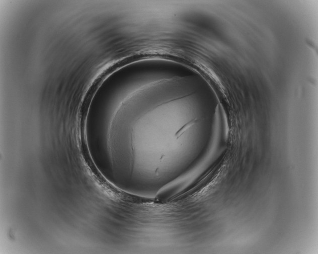 X0000098020984200803281330