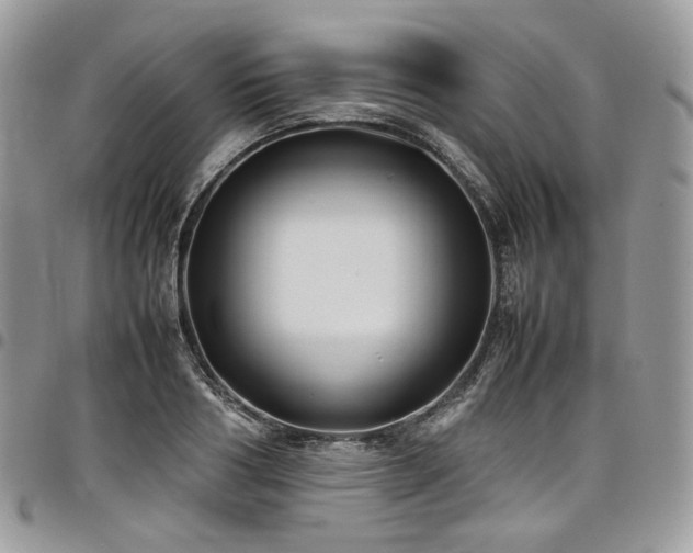 X0000098020986200803281330